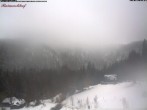 Archiv Foto Webcam Feldberg Raimartihof 11:00