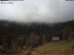 Archiv Foto Webcam Feldberg Raimartihof 11:00