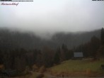 Archiv Foto Webcam Feldberg Raimartihof 13:00