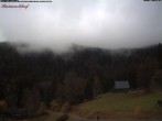 Archived image Webcam Raimartihof - Feldberg Seebuck 11:00