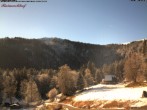 Archived image Webcam Raimartihof - Feldberg Seebuck 12:00