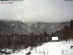 Archived image Webcam Raimartihof - Feldberg Seebuck 06:00