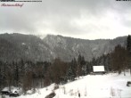 Archived image Webcam Raimartihof - Feldberg Seebuck 10:00