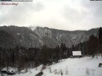 Archived image Webcam Raimartihof - Feldberg Seebuck 12:00
