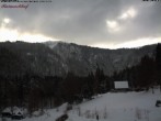 Archived image Webcam Raimartihof - Feldberg Seebuck 14:00
