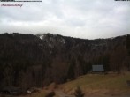 Archiv Foto Webcam Feldberg Raimartihof 10:00