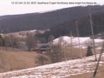 Archiv Foto Webcam Titisee-Neustadt: Langenordnachtal 11:00