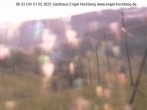 Archiv Foto Webcam Titisee-Neustadt: Langenordnachtal 07:00