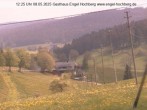 Archiv Foto Webcam Titisee-Neustadt: Langenordnachtal 11:00
