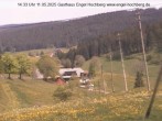 Archiv Foto Webcam Titisee-Neustadt: Langenordnachtal 13:00