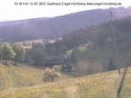 Archived image Webcam Titisee-Neustadt: Langenordnach 09:00