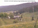 Archived image Webcam Titisee-Neustadt: Langenordnach 13:00