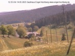 Archived image Webcam Titisee-Neustadt: Langenordnach 11:00
