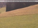 Archiv Foto Webcam Titisee-Neustadt: Langenordnachtal 11:00