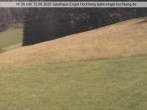 Archiv Foto Webcam Titisee-Neustadt: Langenordnachtal 13:00