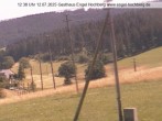 Archiv Foto Webcam Titisee-Neustadt: Langenordnachtal 11:00