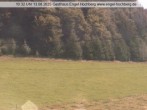 Archived image Webcam Titisee-Neustadt: Langenordnach 09:00