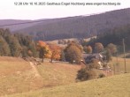 Archiv Foto Webcam Titisee-Neustadt: Langenordnachtal 11:00