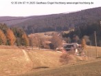 Archiv Foto Webcam Titisee-Neustadt: Langenordnachtal 11:00