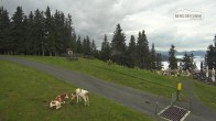 Archiv Foto Webcam Bergstation Asitzbahn 05:00
