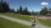 Archiv Foto Webcam Bergstation Asitzbahn 11:00