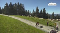 Archiv Foto Webcam Bergstation Asitzbahn 13:00