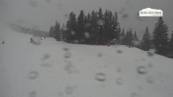 Archiv Foto Webcam Bergstation Asitzbahn 11:00