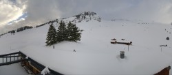 Archiv Foto Webcam Panorama Grindelwald Bussalp 17:00