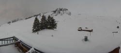 Archiv Foto Webcam Panorama Grindelwald Bussalp 19:00