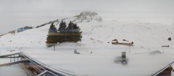 Archived image Webcam Grindelwald Bussalp Roundshot 15:00