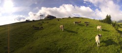 Archiv Foto Webcam Wildhaus Bergbahnen Toggenburg Gamsalp 07:00