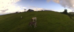 Archiv Foto Webcam Wildhaus Bergbahnen Toggenburg Gamsalp 05:00