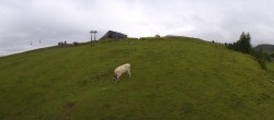 Archiv Foto Webcam Wildhaus Bergbahnen Toggenburg Gamsalp 09:00