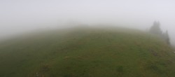 Archived image Webcam Roundshot Wildhaus Toggenburg Gamsalp 10:00