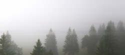 Archiv Foto Webcam Immenstadt: Mittag Gipfelblick 07:00