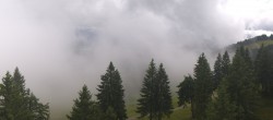 Archiv Foto Webcam Immenstadt: Mittag Gipfelblick 13:00