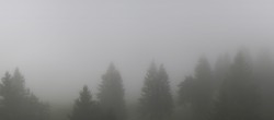 Archiv Foto Webcam Immenstadt: Mittag Gipfelblick 13:00