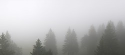 Archiv Foto Webcam Immenstadt: Mittag Gipfelblick 13:00