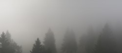 Archiv Foto Webcam Immenstadt: Mittag Gipfelblick 09:00