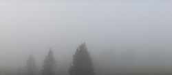 Archived image Webcam Black Forest - Brend Tower 05:00