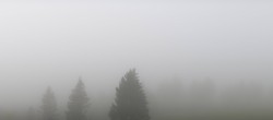 Archived image Webcam Black Forest - Brend Tower 06:00