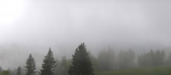 Archived image Webcam Black Forest - Brend Tower 09:00