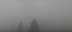 Archived image Webcam Black Forest - Brend Tower 11:00