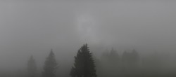 Archived image Webcam Black Forest - Brend Tower 13:00