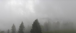 Archived image Webcam Black Forest - Brend Tower 17:00