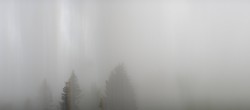 Archived image Webcam Black Forest - Brend Tower 19:00