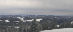 Archived image Webcam Black Forest - Brend Tower 11:00