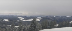 Archiv Foto Webcam Schwarzwald - Brendturm 13:00