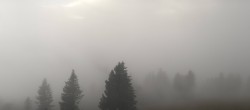 Archiv Foto Webcam Schwarzwald - Brendturm 13:00