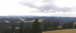 Archiv Foto Webcam Schwarzwald - Brendturm 15:00